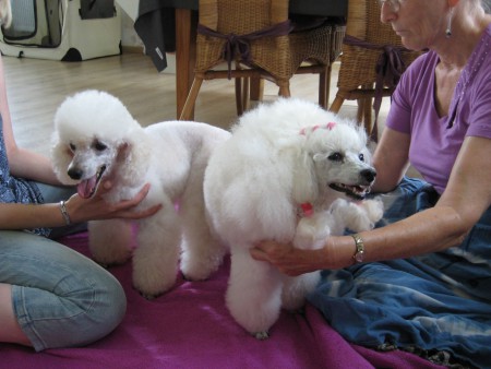... Stormy & Dorly...